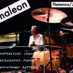 Kamaleon 10