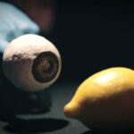 "Citron" de la Cie Le Bruit des Casseroles 1