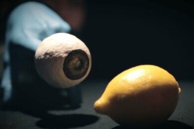 "Citron" de la Cie Le Bruit des Casseroles 10